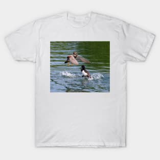 Gadwall V's Tufted Duck T-Shirt